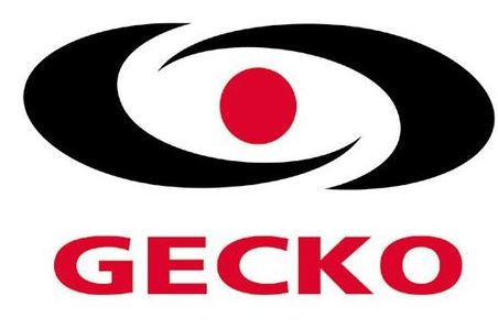 gecko spa parts