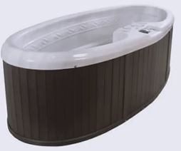 Silver Star 2 person hot tub QCA